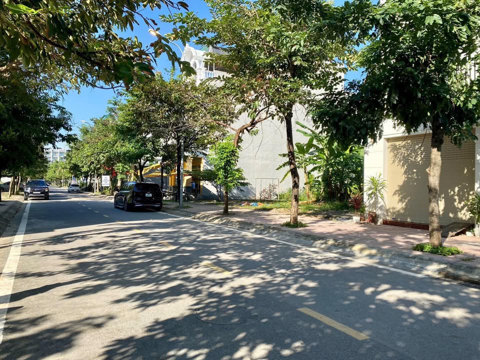 Đất nền 100m² tại Nam Vĩnh Yên - Sổ đỏ chính chủ, giá thỏa thuận!