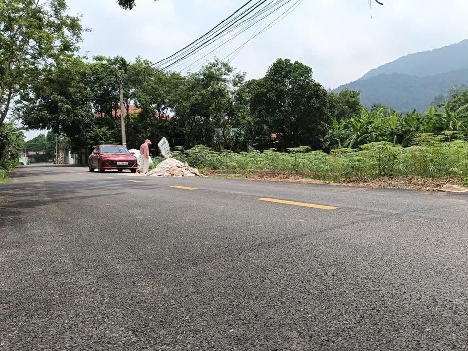 Đất kinh doanh mặt đường Tổ Dân Phố Đồng Hội, 106m² - Cơ hội đầu tư tuyệt vời!