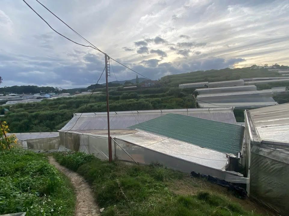 Đất dự án An Sơn Đà Lạt 2700m² giá 18 tỷ - Cơ hội đầu tư hấp dẫn!