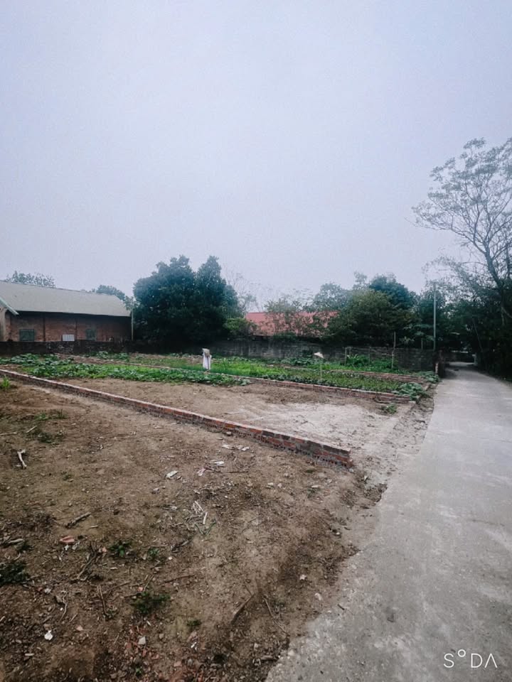 Đất thổ cư Khu 4 Chu Hóa 99m² giá chỉ 900 triệu - Cơ hội đầu tư tuyệt vời!