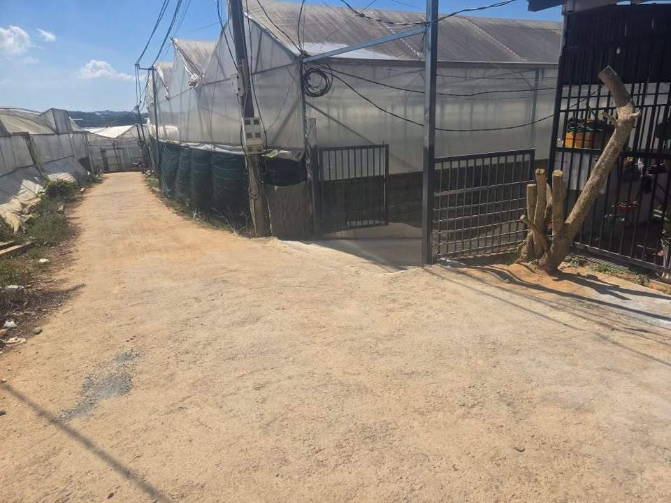 Đất nền khu du lịch Langbiang, 280m² giá 1.3 tỷ - Đầu tư sinh lời nhanh!