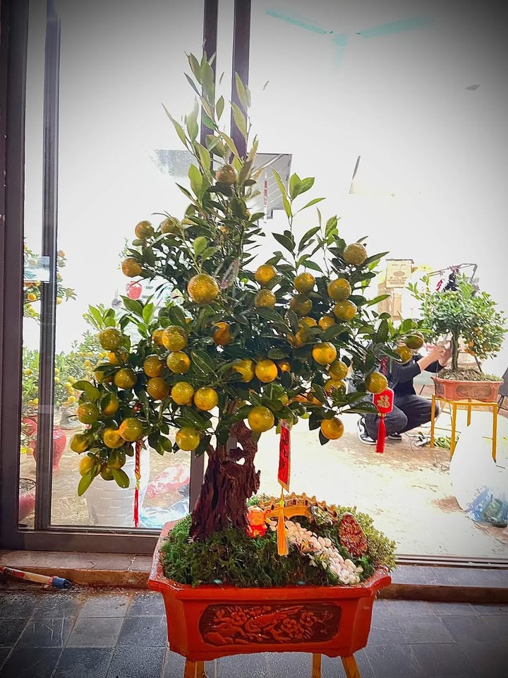 Mặt tiền FrontHouse Rùa Vàng 100m² giá thỏa thuận - Đầu tư kinh doanh hiệu quả!