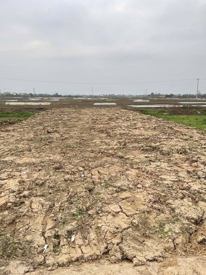 Đất tái định cư Xóm 4, xã Diễn Đồng 225m² giá 3 tỷ - Cơ hội đầu tư tốt!