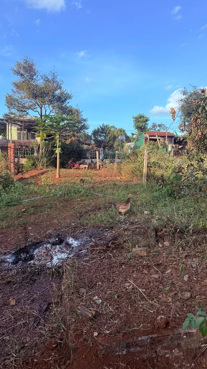 Đất thổ cư Cư Pơng 2700m² giá 319 triệu - Sổ đỏ chính chủ, ôm 2 mặt tiền!