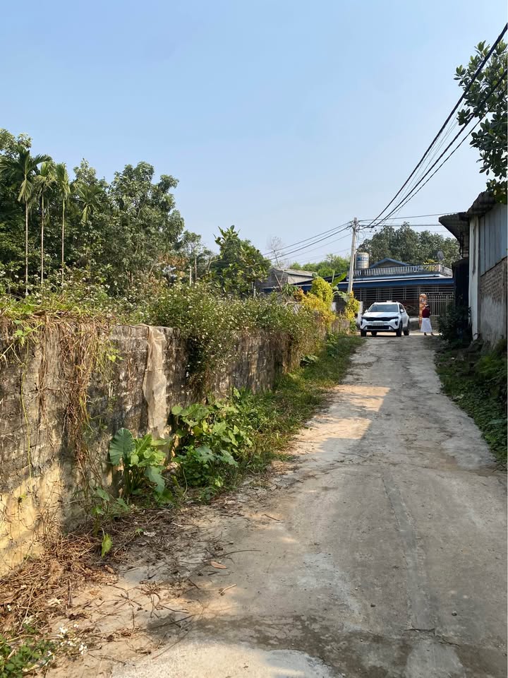 Đất liền kề Tổ 5 Thịnh Đán 186m² chỉ 1.x tỷ - Vị trí đẹp, đầu tư sinh lời!