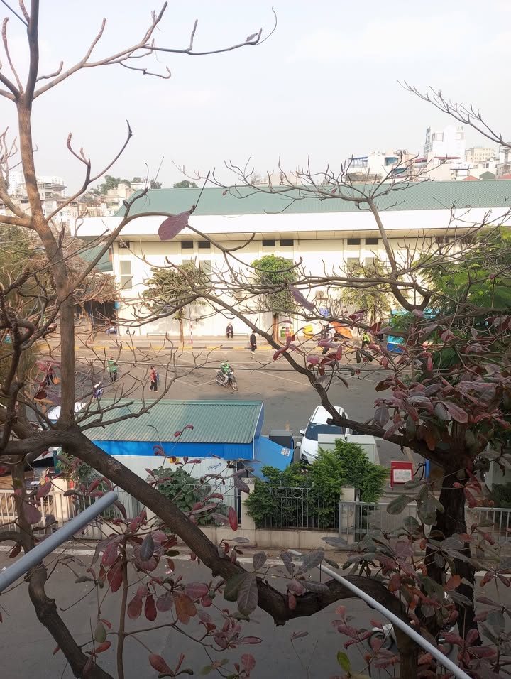 Bán nhà mặt phố Ngô Gia Khảm, Long Biên 67m² giá 10.2 tỷ - Vị trí kinh doanh đắc địa!