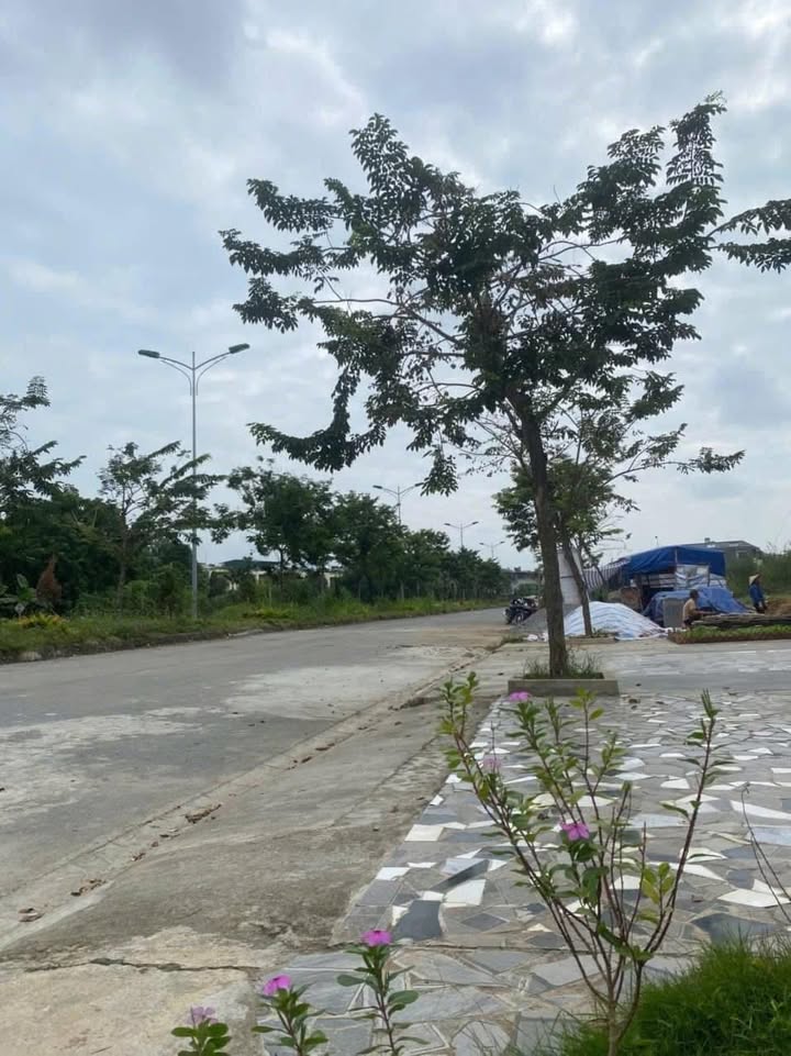 Đất Biệt thự đường A2 - Kosy Lào Cai 277m² giá 2.265 tỷ - Vị trí đắc địa