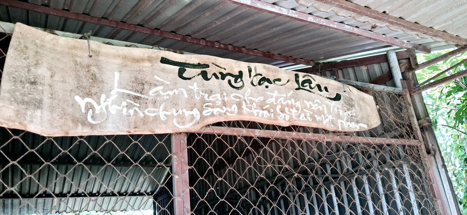 Bán gấp nhà vườn 11.000m² sát KCN Hàm Kiệm - Giá chỉ 44 tỷ!