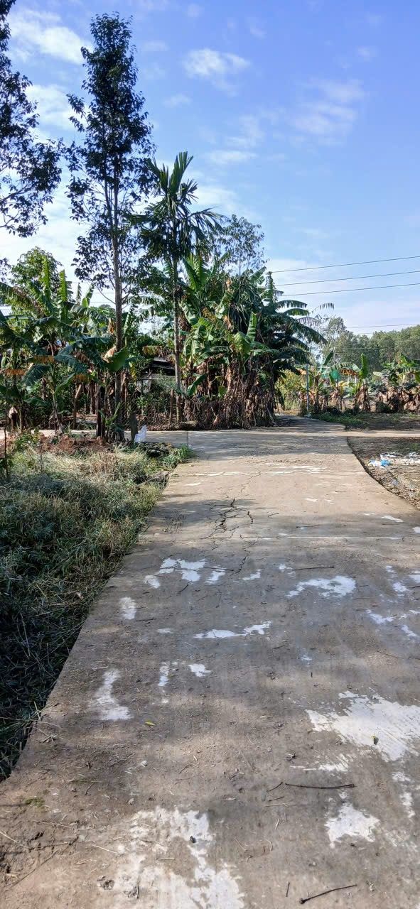 Đất nền thôn Hòa Vang 1, Lộc Bổn 385m² giá 400 triệu - Đường bê tông ô tô vào tận nơi!