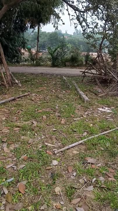 Đất nền Xã Ấm Hạ, Huyện Hạ Hoà 50,000m² - Cơ hội đầu tư vàng!