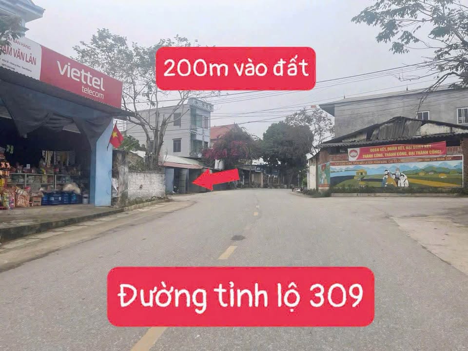 Đất nền Thôn 11, Xã Hoàng Hoa, Huyện Tam Dương 100m² giá 7xx triệu - Đầu tư sinh lời tuyệt vời!