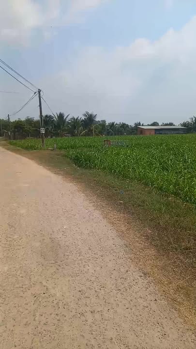 Đất thổ cư 90m² tại Củ Chi giá chỉ 720 triệu - Đầu tư sinh lời ngay!