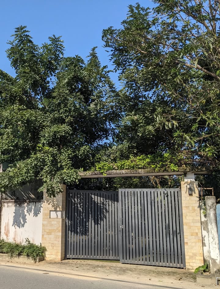 Nhà vườn cho thuê tại Hòa Minh, Đà Nẵng 750m² - Không gian lý tưởng cho quán cà phê và nghỉ dưỡng!