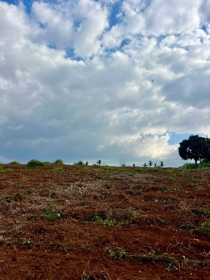 Đất nền 2ha Tân Văn, Lâm Hà giá chỉ 7.74 tỷ - Sổ đỏ chính chủ, đường bê tông rộng rãi!