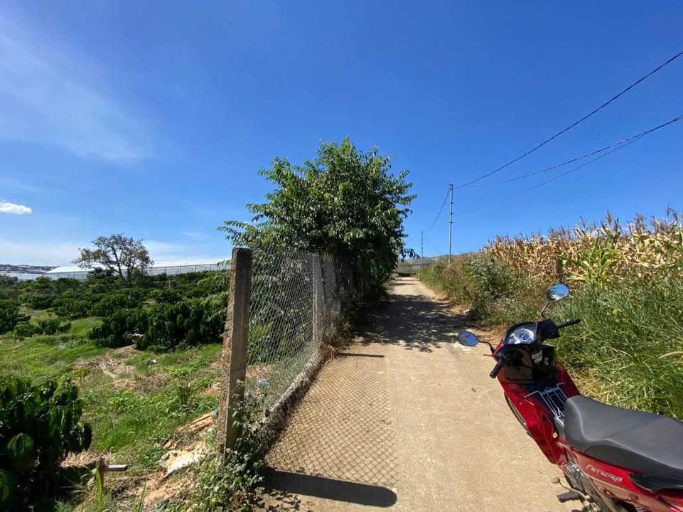 Đất Từ Niêm, Thị Trấn Nam Ban 654m² giá 1.4 tỷ - Sổ riêng chính chủ, bán gấp!