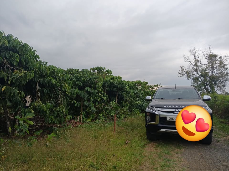 Đất nền 600m² KP Văn Hà, Đinh Văn Lâm Hà - Bán gấp trước Tết!