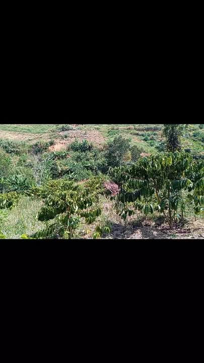 Đất nền Thị trấn Nam Ban, Huyện Lâm Hà, 1.4 mẫu giá 3 tỷ - Cơ hội đầu tư hấp dẫn!