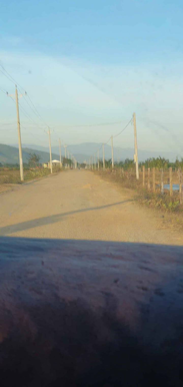 Bán Farm 20ha tại Thôn Suối Rơ, Xã Phước Chính - Giá chỉ 510 triệu