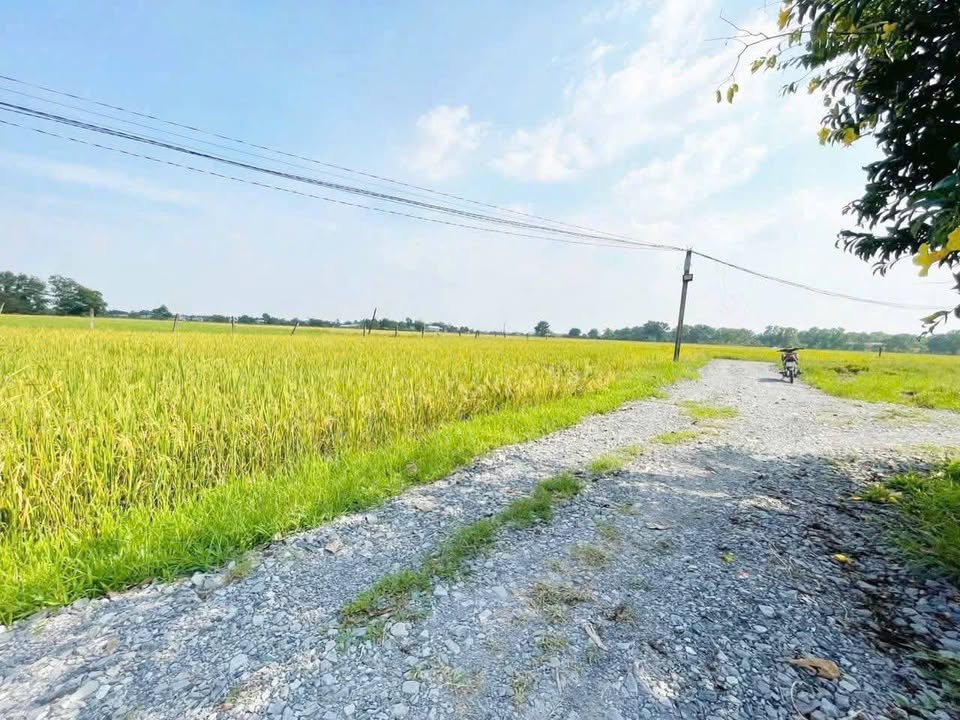 Đất nền Đức Hòa Thượng 110m² giá 550 triệu - Sổ riêng chính chủ!