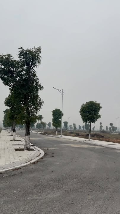 Đất nền Đất Việt Green Park Phú Thọ 900000m² - Siêu dự án thu hút đầu tư!