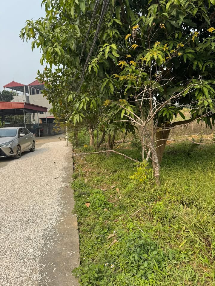 Đất nền khu Cửa Miếu, Cẩm Khê, Phú Thọ 474m² giá 600 triệu - Cơ hội đầu tư tuyệt vời!