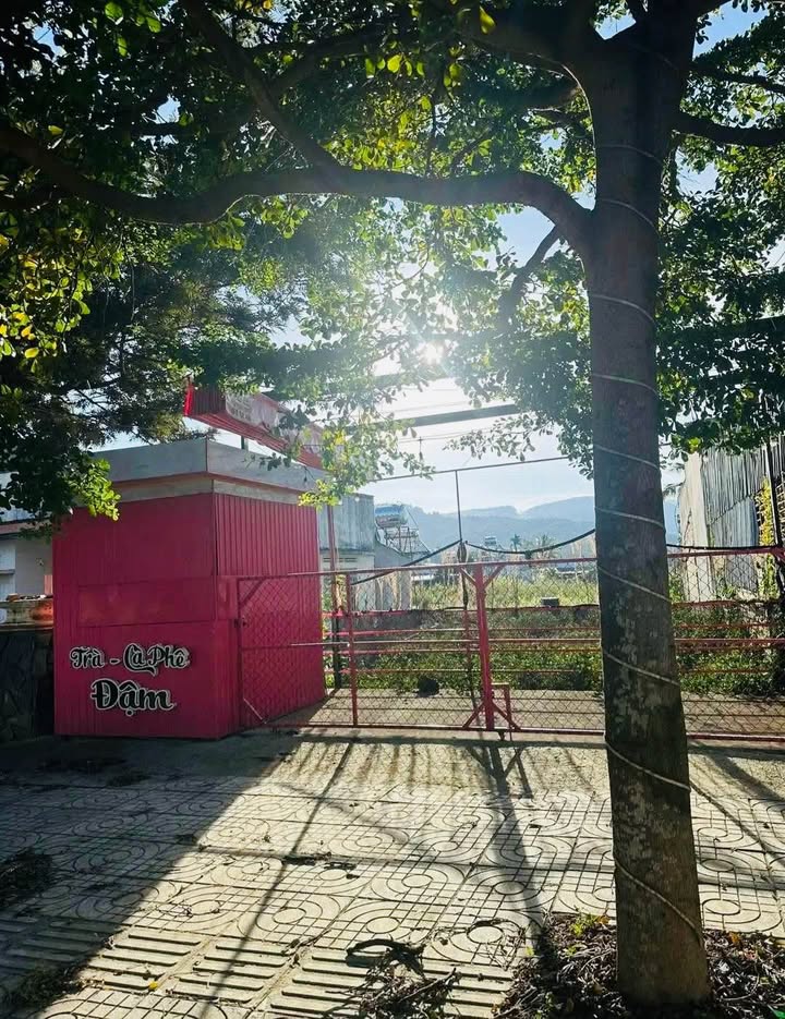 Bán gấp FrontHouse mặt tiền Thống Nhất, Đức Trọng 500m² giá 6.6 tỷ - Cơ hội đầu tư tuyệt vời!