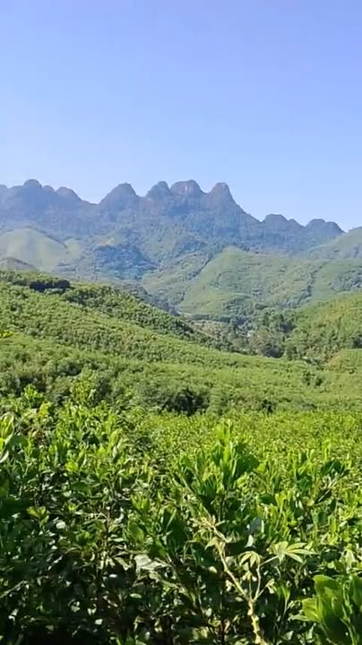 Đất rừng sản xuất 20ha tại Kim Bôi, Hòa Bình - Cơ hội đầu tư vàng cho nghỉ dưỡng!