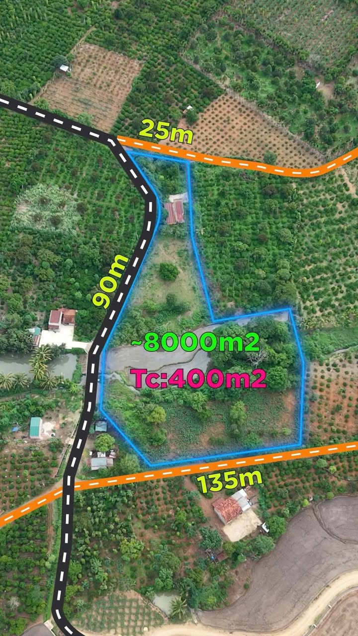 Đất Farm 8 sào tại Tân Hoà, Buôn Đôn chỉ 14km từ Buôn Ma Thuột - Pháp lý rõ ràng, giá thỏa thuận!