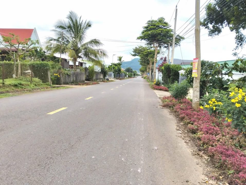 Lô đất Cư Xá, Hiệp Thạnh, Lâm Đồng 400m² giá 3 tỷ - Cơ hội đầu tư tuyệt vời!