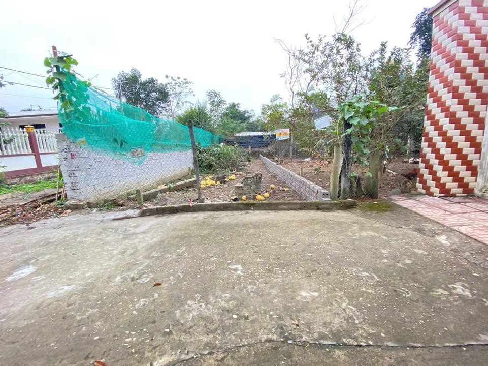 Bán đất Vỹ Thủy, Phường Sơn Lộc, Sơn Tây 103m² - Đầu tư sinh lời ngay!