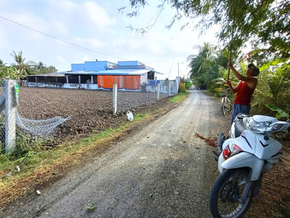 Đất nền Ấp Thạnh Phong, Phú Thành A, 1300m², giá 2.26 tỷ - Đầu tư sinh lời ngay!