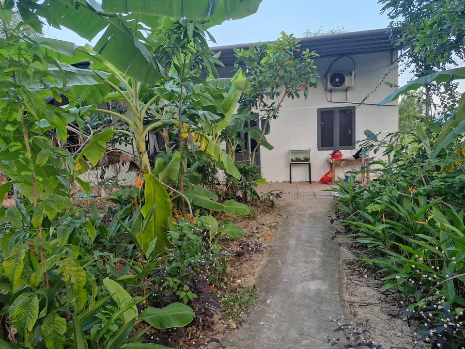 Căn nhà vườn Phước Đồng Nha Trang 90m² giá 680 triệu - Đầu tư sinh lời ngay!