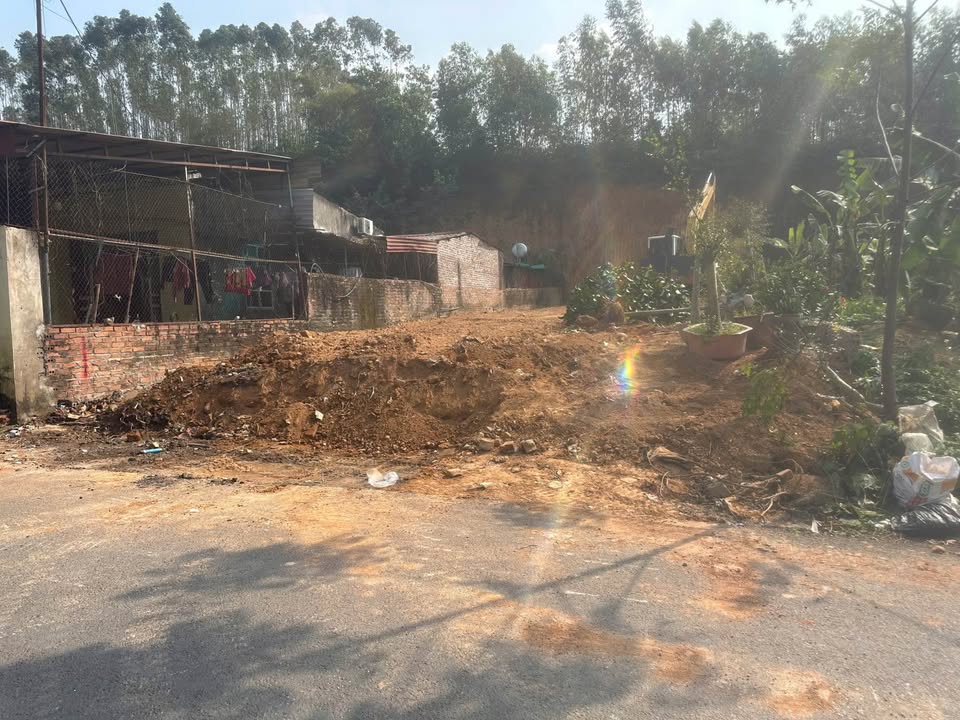 Đất nền Tam Quan - Huyện Tam Đảo 208m² chỉ 2 tỷ - Cơ hội đầu tư sinh lời!