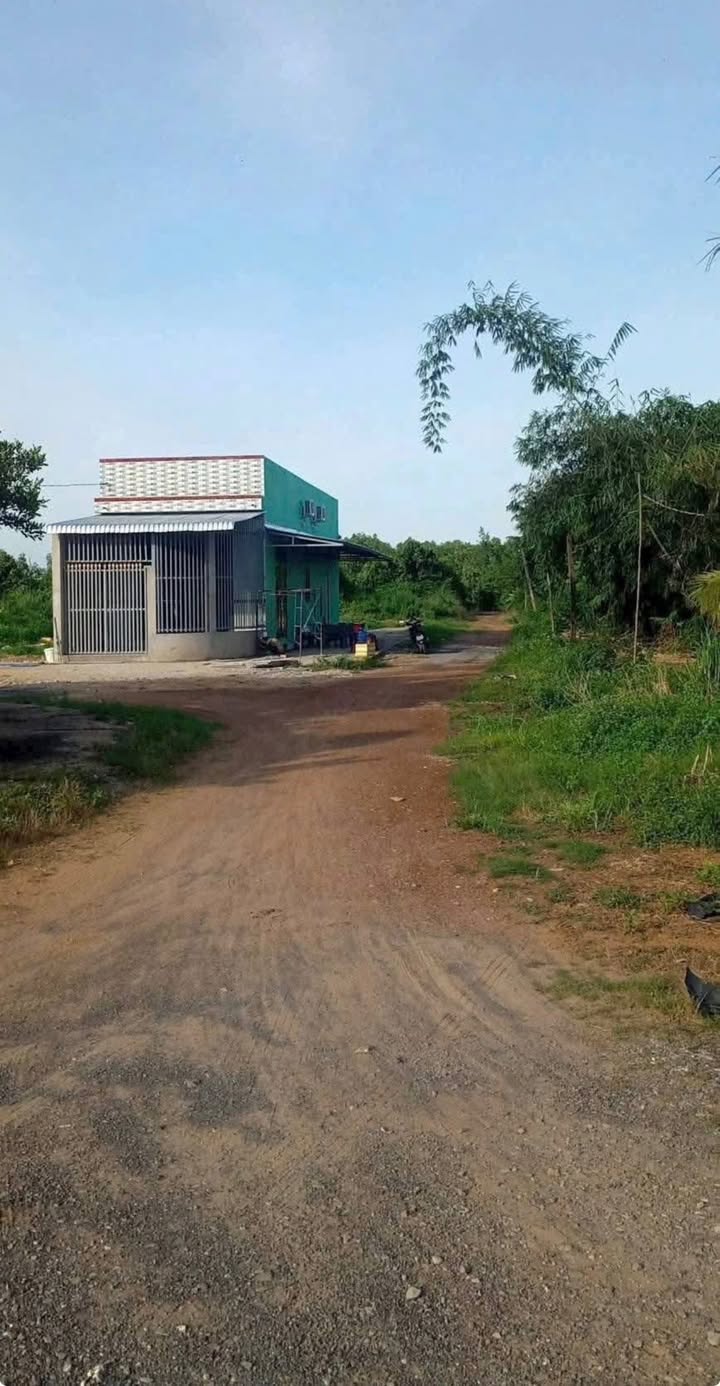 Đất nền 120m² Xã Thạnh Lợi, Huyện Bến Lức giá 800 triệu - Sổ hồng riêng, pháp lý rõ ràng!