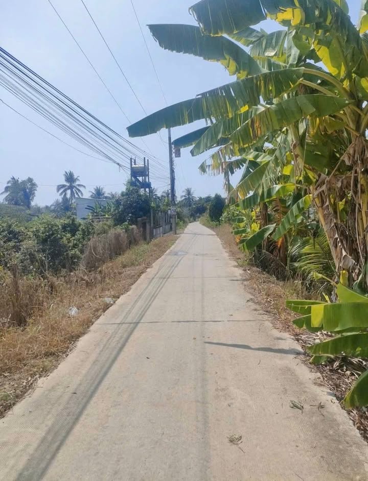 Bán đất thổ cư mặt tiền đường ôtô 265m² tại xã Thạnh Lợi - Giá chỉ 1.7 tỷ!