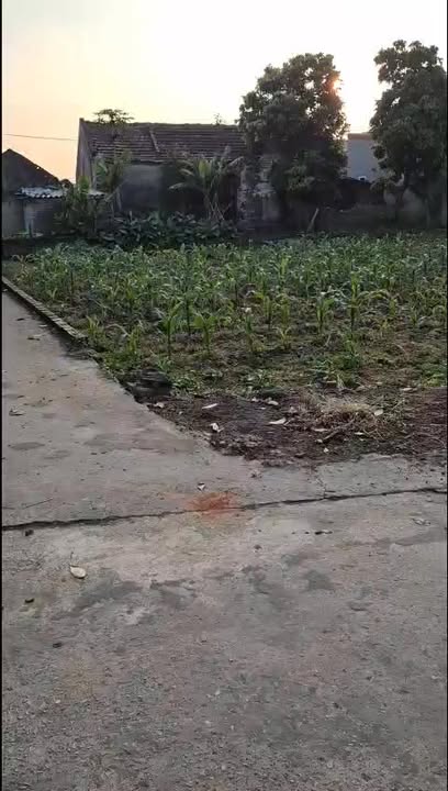 Đất nền Yên Cư 2, Khánh Cư 100m² - Đầu tư tiềm năng với 2 mặt đường!