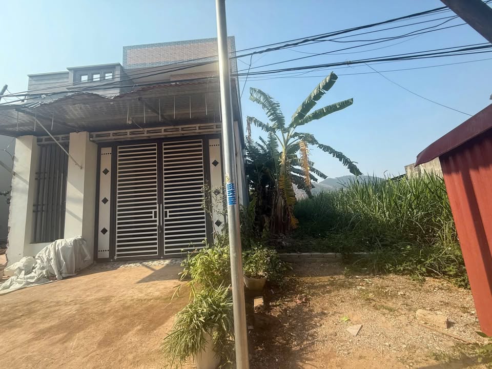 Đất đấu giá Đông Phú Lục Nam 140m² giá 750 triệu - Cơ hội đầu tư hấp dẫn!