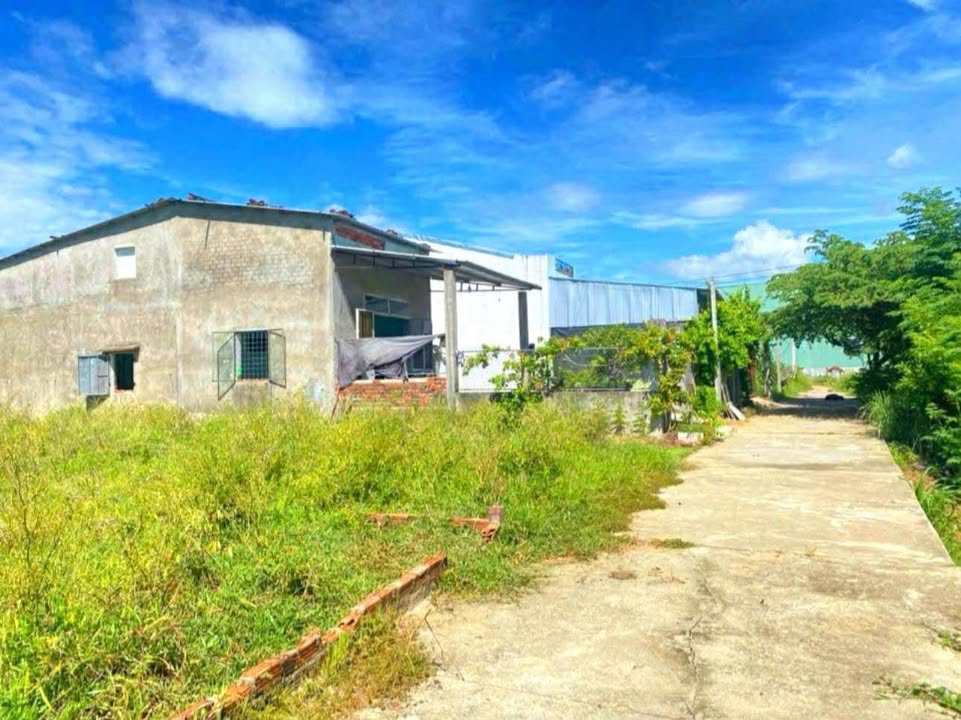 Đất nền Phú Mỹ, Xã Đại Hiệp 170m² - Cơ hội đầu tư không thể bỏ lỡ!