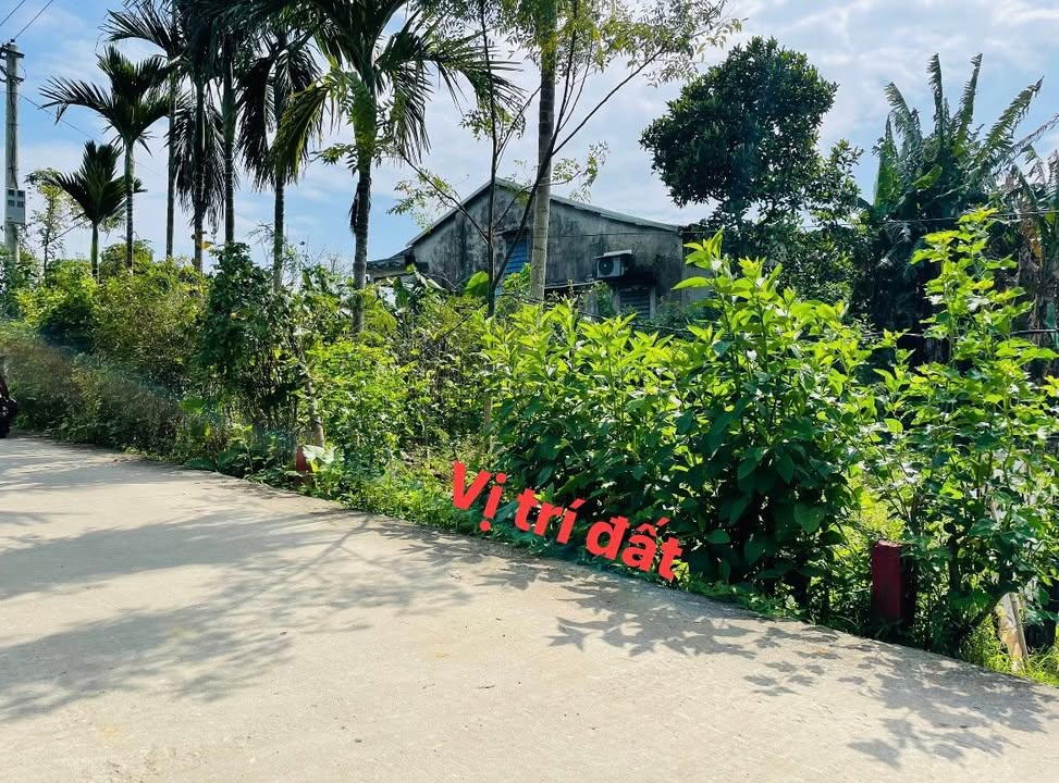 Đất nền Phong Thử 3, Điện Bàn 195m² giá 700 triệu - Đầu tư sinh lời nhanh!