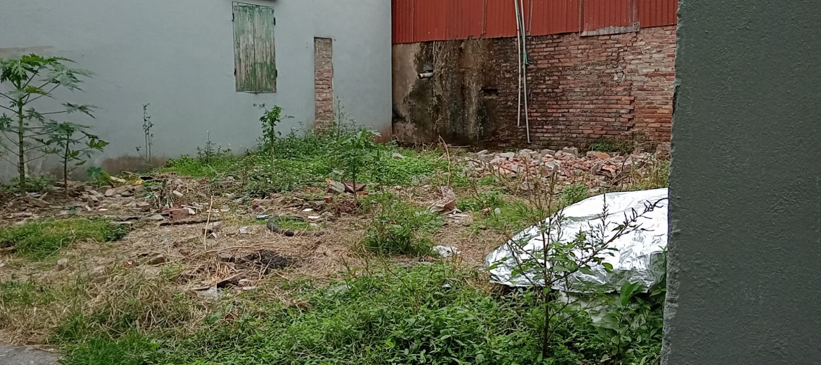 Đất ở Phúc Long, Tăng Tiến, Việt Yên 86m² giá chỉ 1.5 tỷ - Cơ hội đầu tư tuyệt vời!