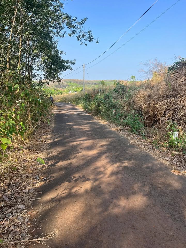 Đất nền 2 sào tại Huyện Bù Đốp, Bình Phước - Giá 400 triệu, bớt lộc!