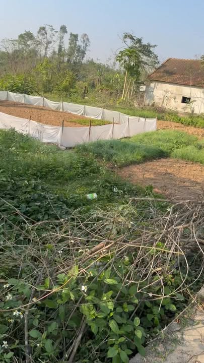 Đất nền xã Kim Liên 147m² giá chỉ 2 tỷ - Đầu tư sinh lời bền vững!