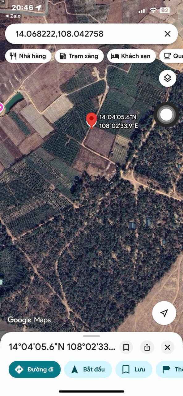 Đất nền Biển Hồ Pleiku 4600m² giá 8xx triệu - Sổ hồng chính chủ!