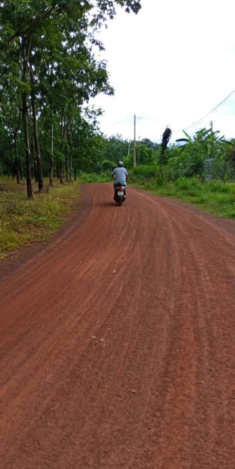 Đất nền Lộc Tấn, Lộc Ninh, Bình Phước 1000m² giá chỉ 100 triệu - Sổ hồng ngay!