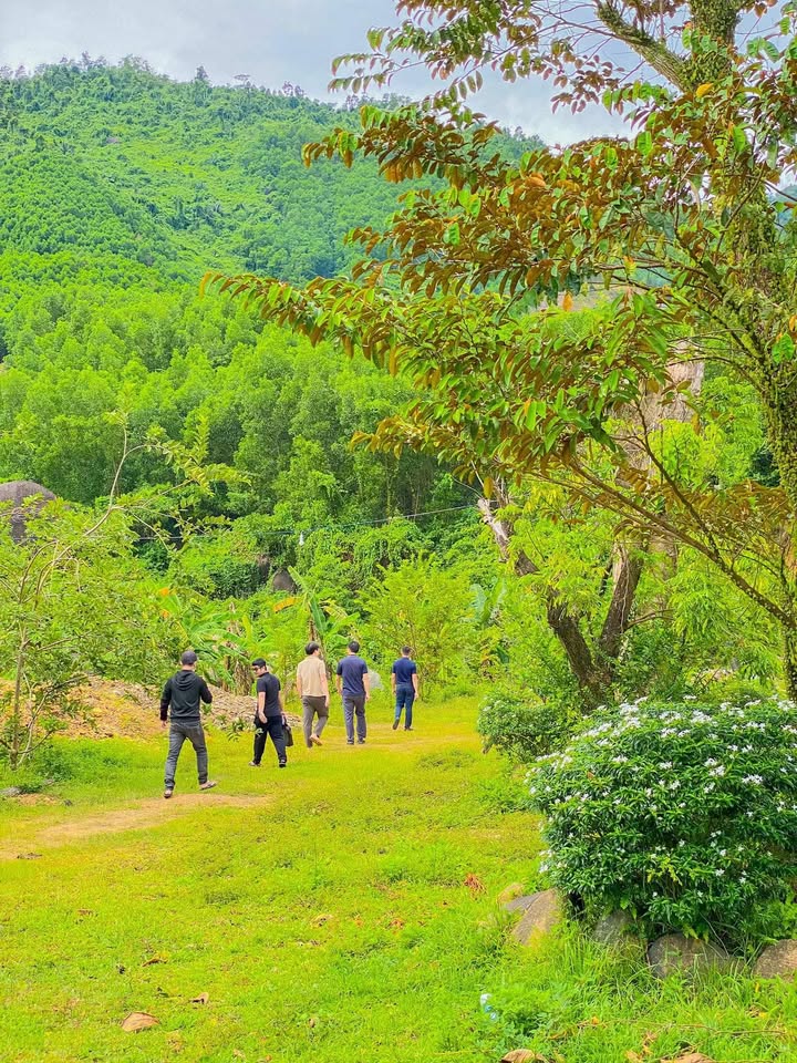 Đất Farm 25.000m² Hòa Ninh - Đầu Tư Lợi Nhuận Cao, Giá 6 Tỷ