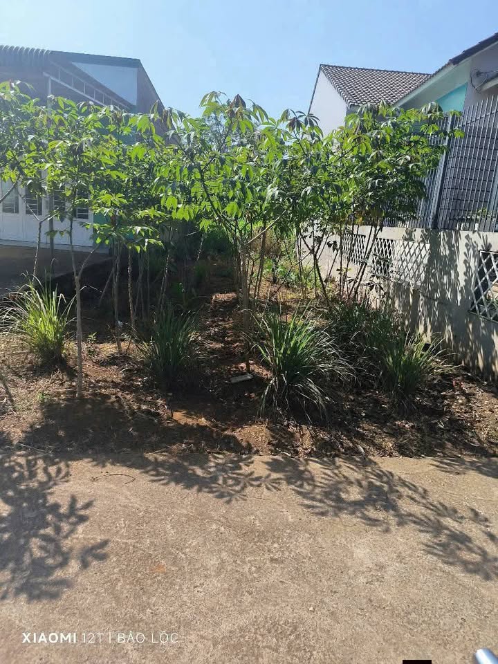 Đất nền Phường Lộc Tiến Bảo Lộc 150m² giá 1.3 tỷ - Sổ hồng chính chủ, thương lượng tốt!