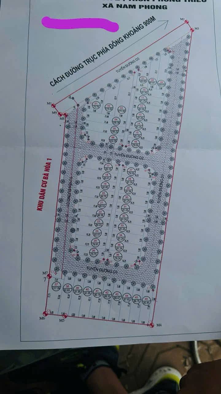 Đất nền Phong Triều, Xã Nam Triều 81,24m² giá 3 tỷ - Cơ hội đầu tư hấp dẫn!