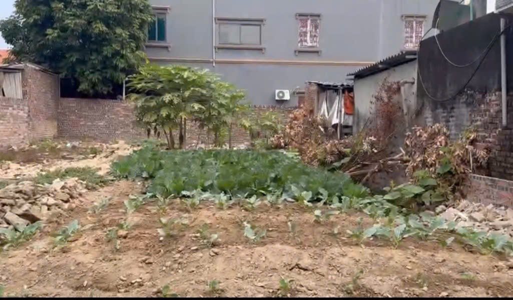 Đất nền Hùng Lãm, Hồng Thái, Việt Yên 90m² giá 1.6 tỷ - Cơ hội đầu tư sinh lời!