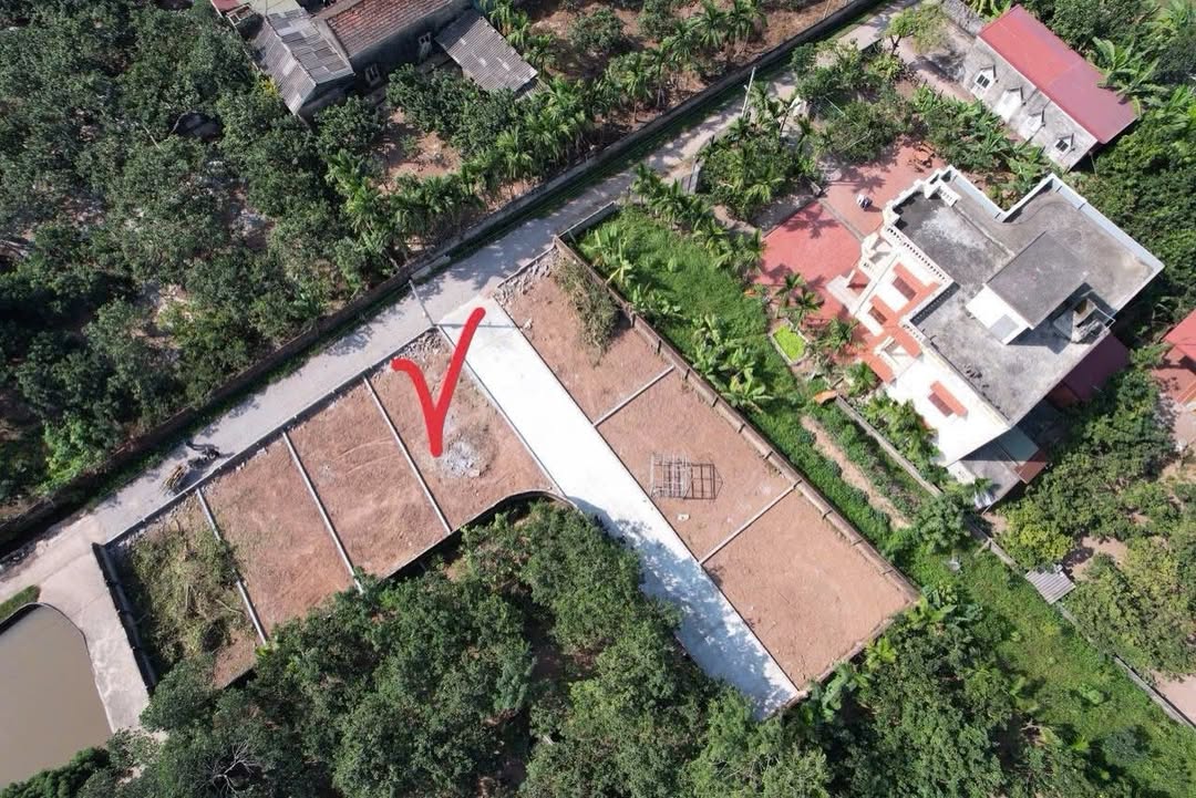 Đất nền lô góc Bạch Hạ Phú Xuyên 85m² giá 1.99 tỷ - Vị trí đắc địa, tiện ích đầy đủ!