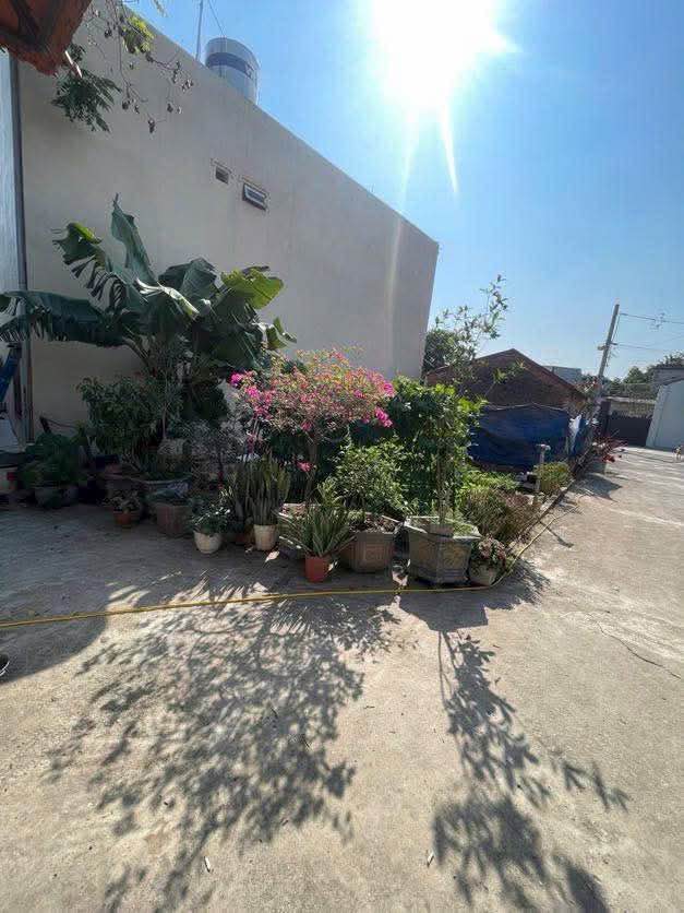 Đất nền Phường Hưng Lộc, Nam Định 70m² giá 2 tỷ - Vị trí đắc địa, tiện nghi đầy đủ!